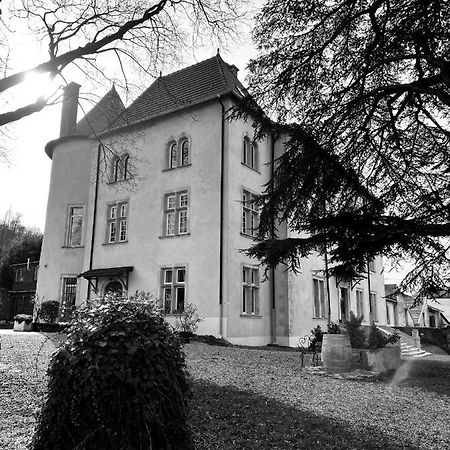 Belleau Bed And Breakfast Le Chateau De Morey المظهر الخارجي الصورة