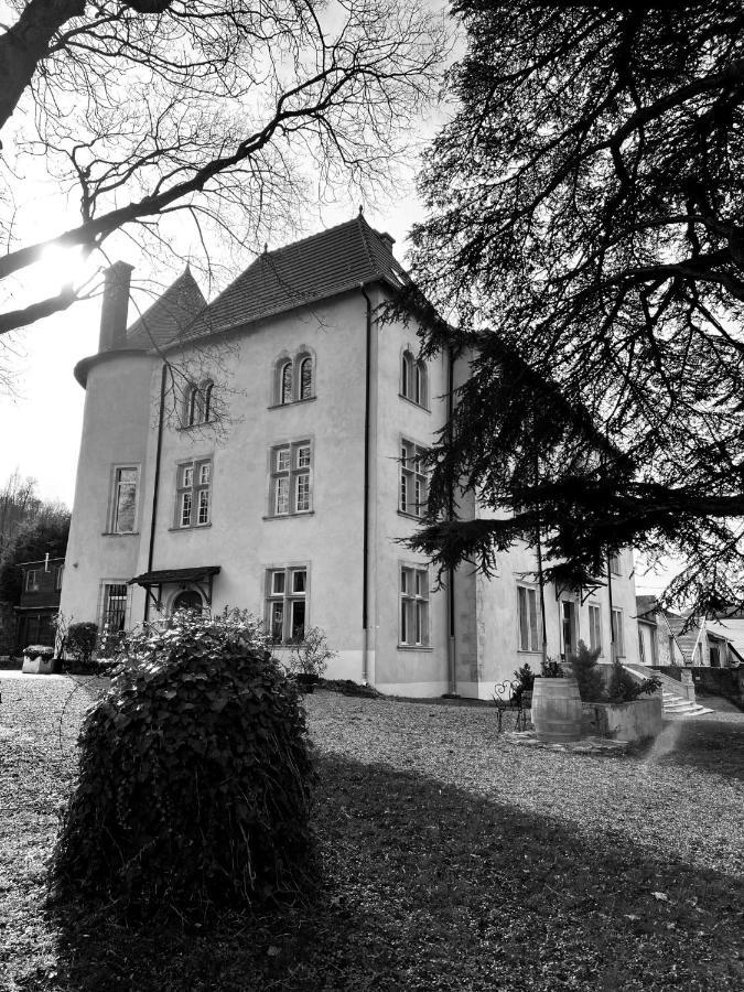 Belleau Bed And Breakfast Le Chateau De Morey المظهر الخارجي الصورة