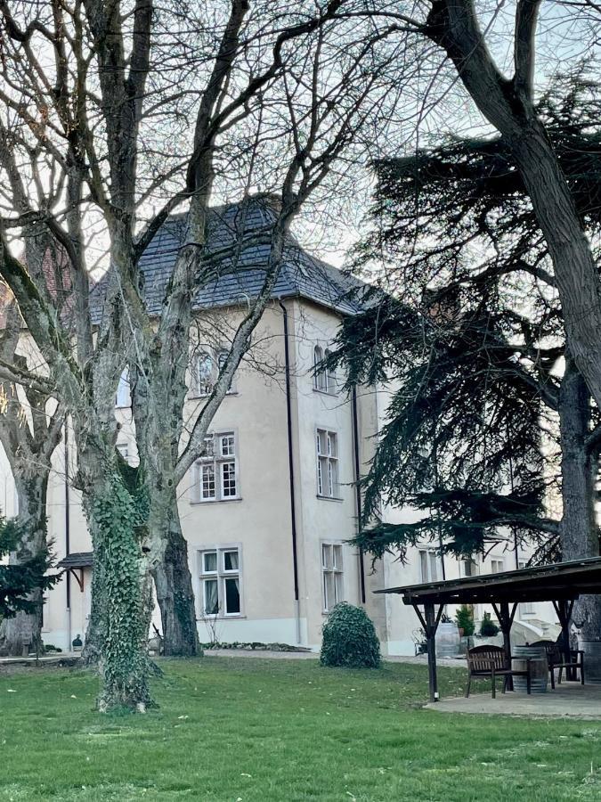 Belleau Bed And Breakfast Le Chateau De Morey المظهر الخارجي الصورة